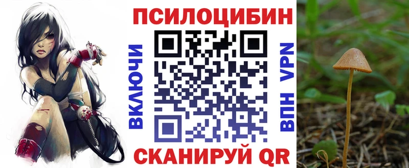 сайты даркнета клад  купить закладку  Отрадная  Псилоцибиновые грибы GOLDEN TEACHER 
