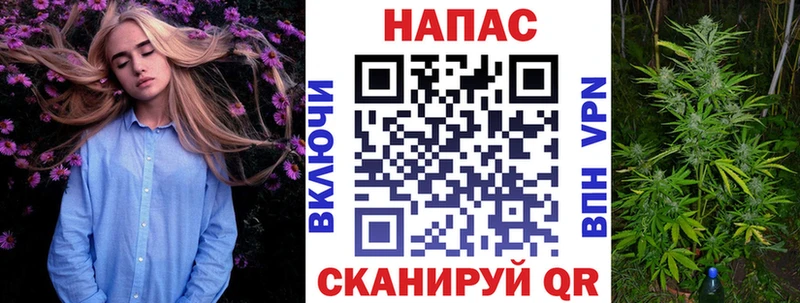 Канабис сатива  Отрадная 